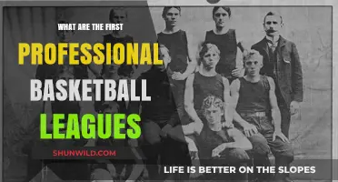 The Birth of Professional Basketball Leagues