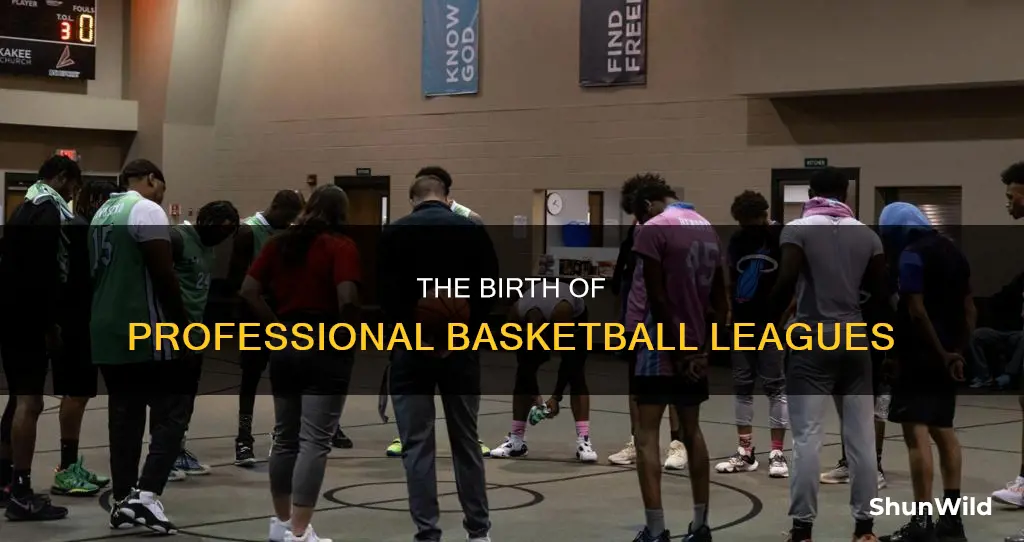 what are the first professional basketball leagues