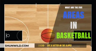 Understanding the Five Areas of a Basketball Court