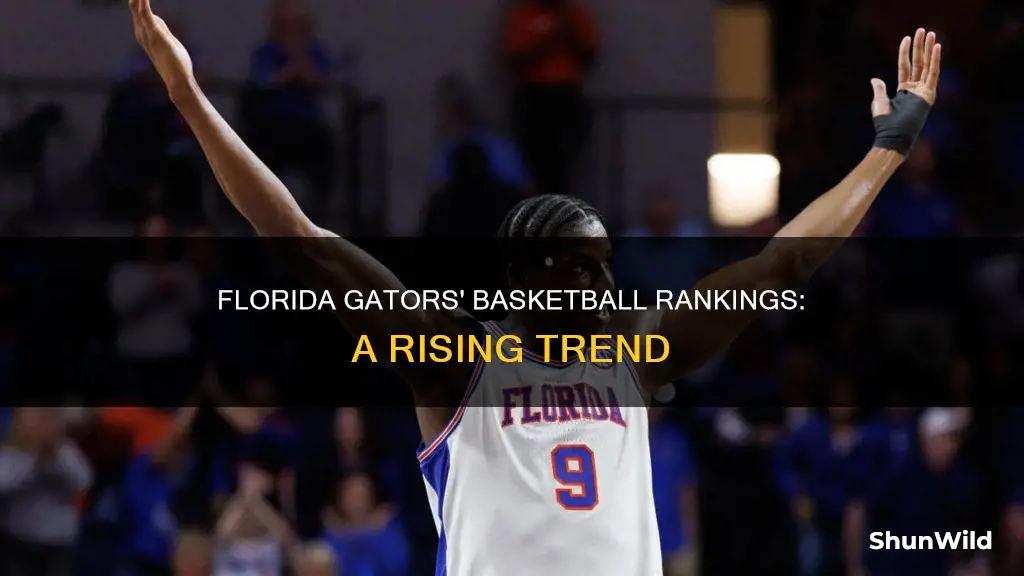 what are the florida gators ranked in basketball