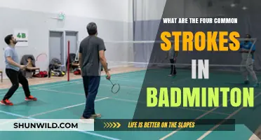 Badminton Basics: Mastering the Four Fundamental Strokes