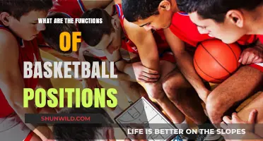 Understanding Basketball Positions and Their Roles