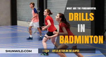 Essential Badminton Drills to Master the Game