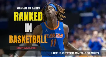 Gators' Basketball Rankings: Rising or Falling?