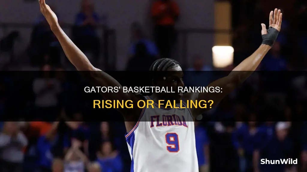 what are the gators ranked in basketball