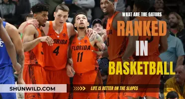 Basketball Gator's Ranking: Where Do They Stand?
