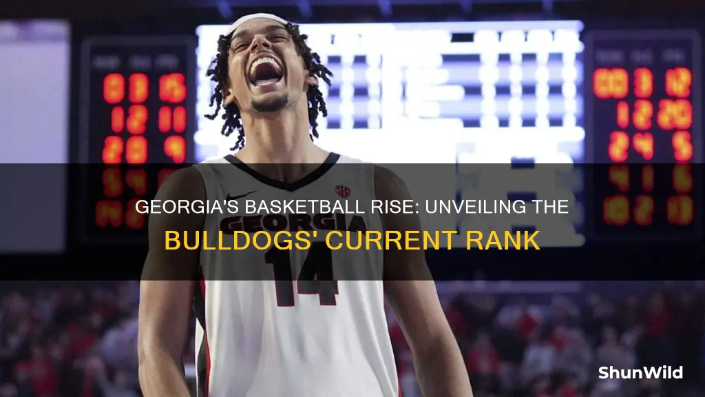 what are the georgia bulldogs ranked in basketball