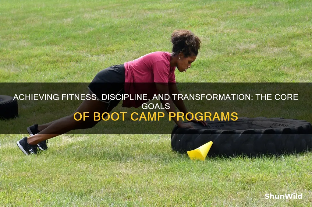 what are the goals of boot camp programs