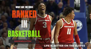 Hog's Hoops: Unveiling the Top-Ranked Teams in Basketball