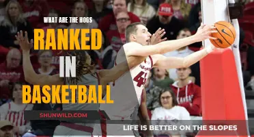 Hog Basketball: Ranked and Ready for Action
