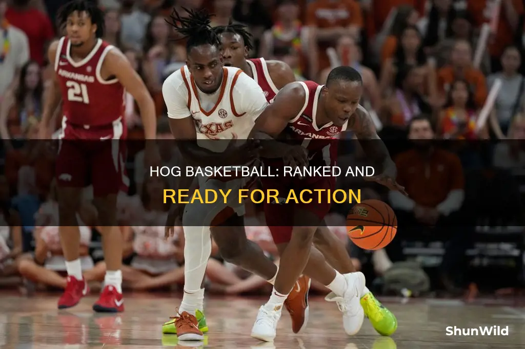 what are the hogs ranked in basketball