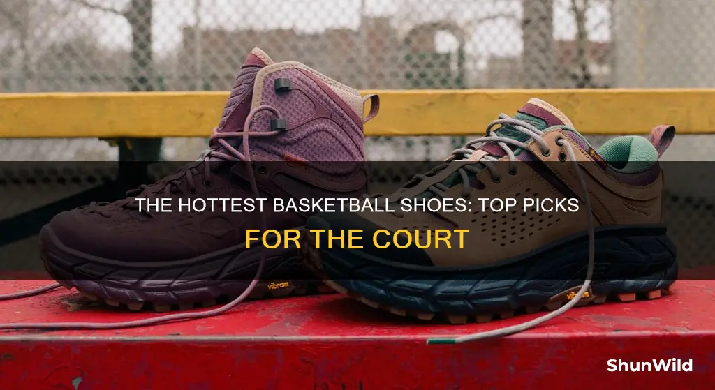 what are the hottest basketball shoes