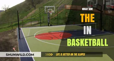 Basketball Strategies: Secrets to Success