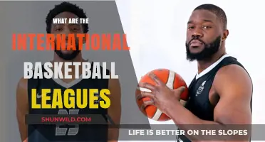 International Basketball: Leagues Around the Globe