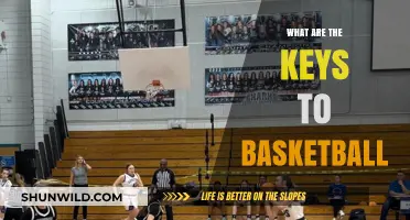 Mastering the Fundamentals: Keys to Basketball Success