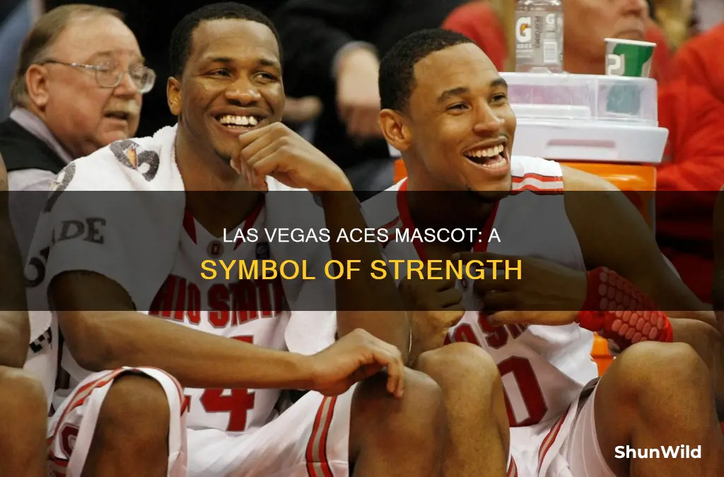 what are the las vegas aces in basketball mascot