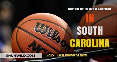 Basketball Leagues in South Carolina: A Comprehensive Guide