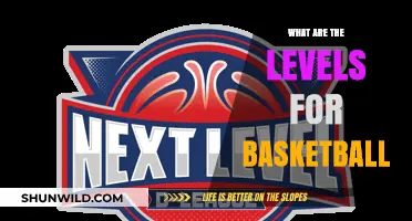 Basketball Levels: Understanding the Different Tiers