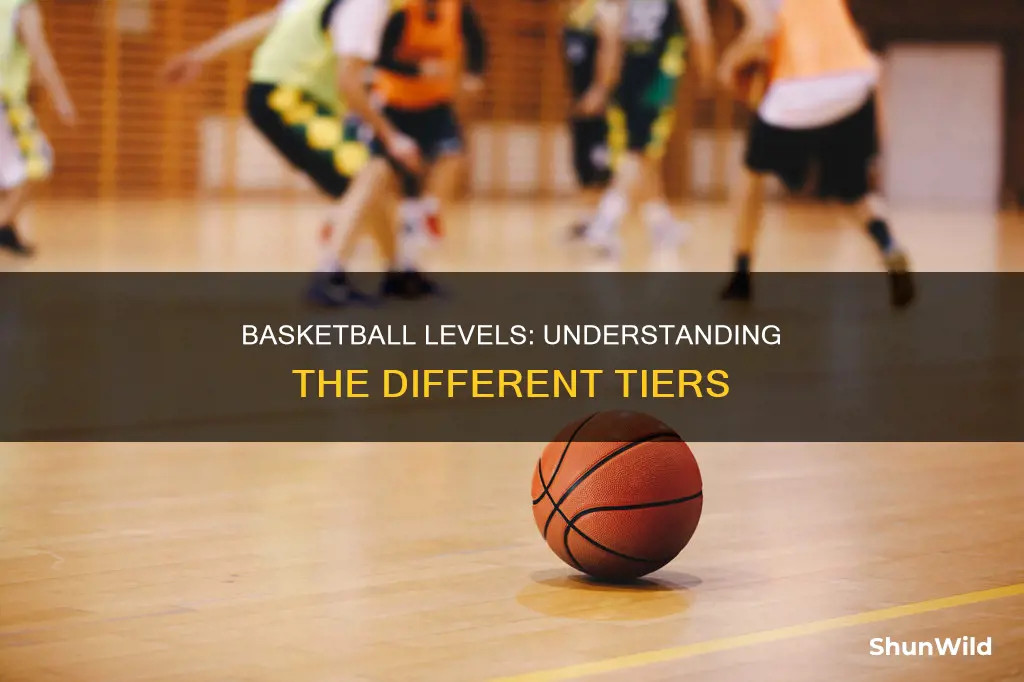 what are the levels for basketball
