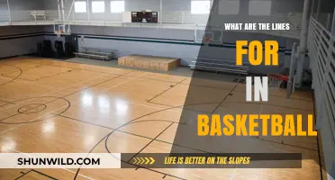 Basketball Court Lines: Understanding Their Purpose and Strategy