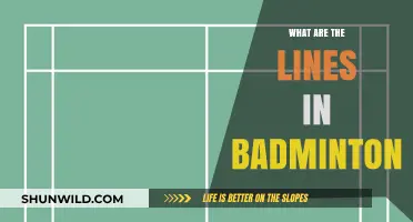 Badminton Court Lines: Understanding the Boundaries