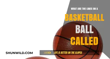 Basketball 101: Understanding the Lines on the Ball
