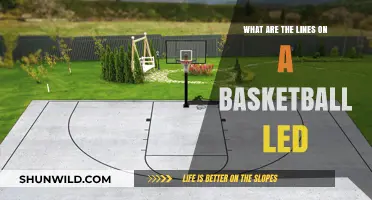 Basketball Court Lines: Understanding the Basics
