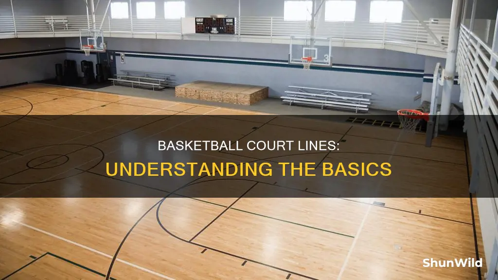 what are the lines on a basketball led