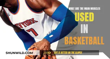 Unleash Your Game: The Key Muscles for Basketball Dominance