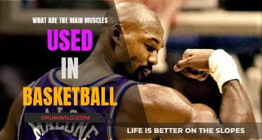 Muscle Movement: Basketball's Main Movers
