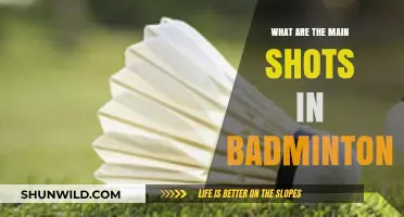 Shuttlecock Shots: Master the Main Badminton Strokes