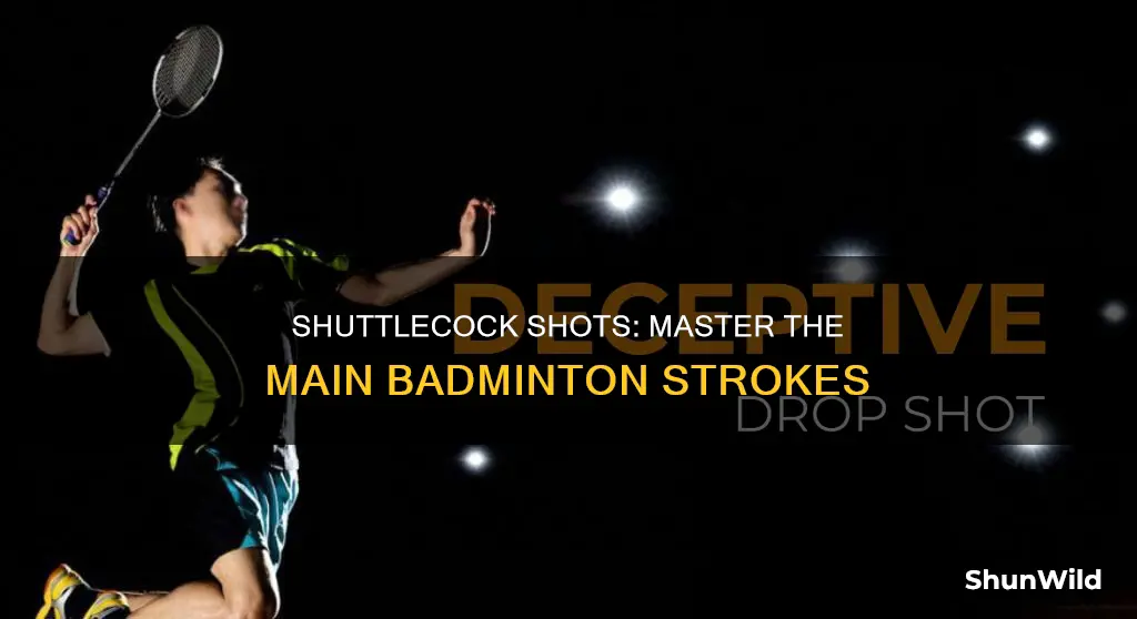 what are the main shots in badminton