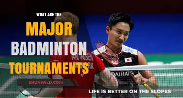 Badminton's Grandest Stages: The Top Tournaments