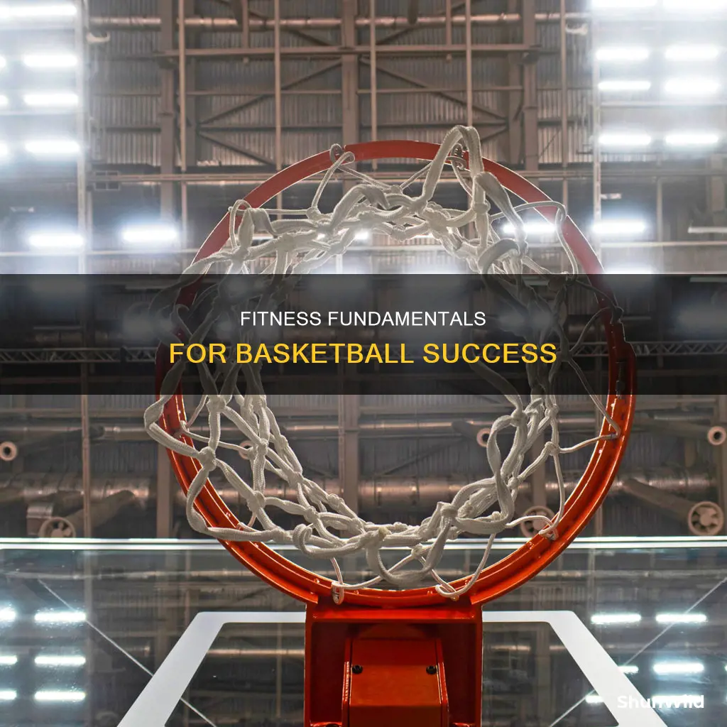 what are the major fitness components in basketball