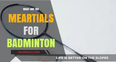 Badminton Basics: Essential Equipment for Beginners