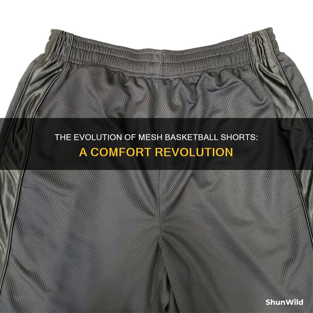 what are the mesh basketball shorts called