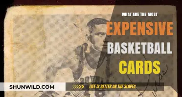 Basketball Card Collecting: The Most Expensive Cards in the Game