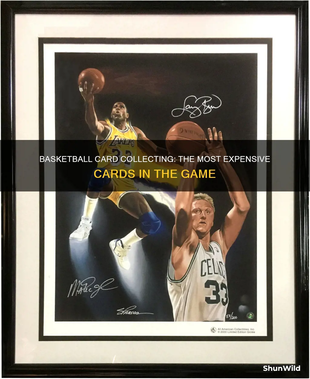 what are the most expensive basketball cards