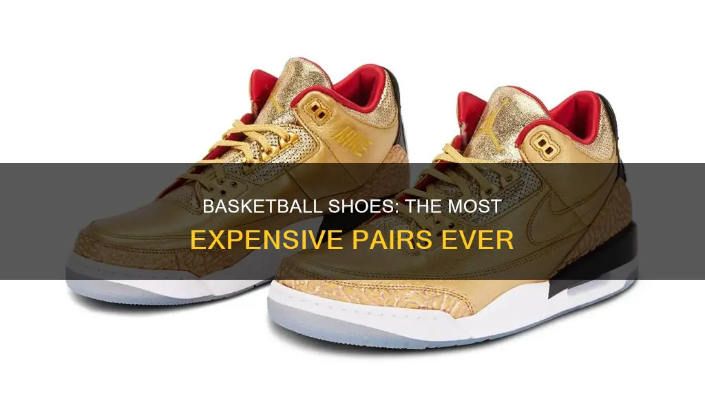 what are the most expensive basketball shoes