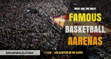 Epicenter of Basketball: Iconic Arenas and Their Legacies