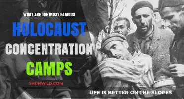Infamous Holocaust Concentration Camps: A Historical Overview of Key Sites