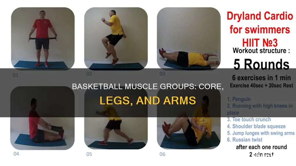 what are the most important muscles for basketball