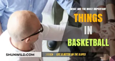 Skills, Strategy, and Teamwork: Basketball's Core Pillars