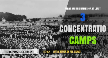 Unveiling the Dark History: Names of Three Notorious Concentration Camps