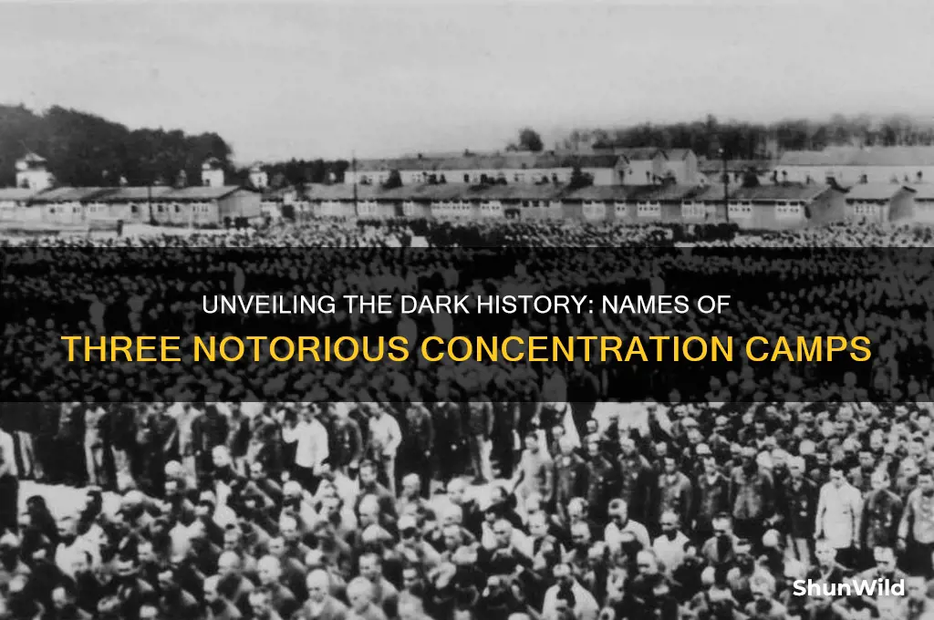 what are the names of at least 3 concentration camps