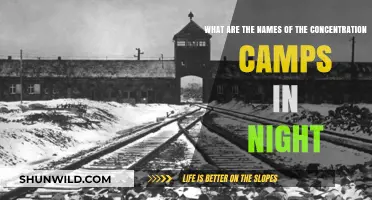 Night's Haunting Legacy: Concentration Camps Named in Wiesel's Memoir