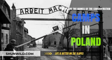 Poland's Concentration Camps: Names and Historical Significance Explained