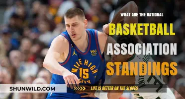 Who's Leading the NBA? Current Standings and Highlights