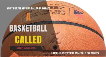 Inflating Basketballs: What Are Those Needles Called?