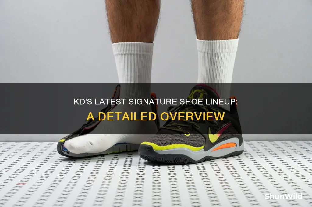 what are the newest kd basketball shoes